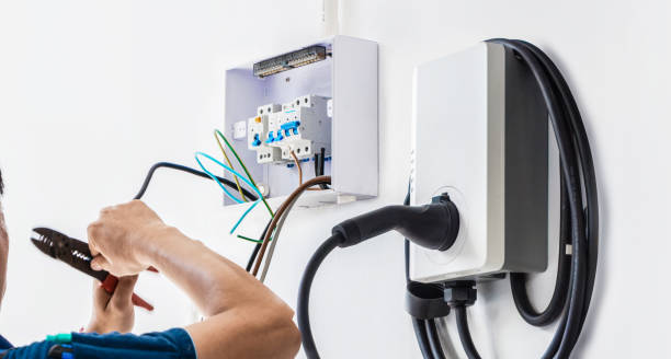 Best Electric Panel Repair  in Island Lake, IL