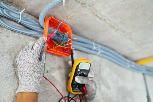 Best Electrical System Inspection  in Island Lake, IL